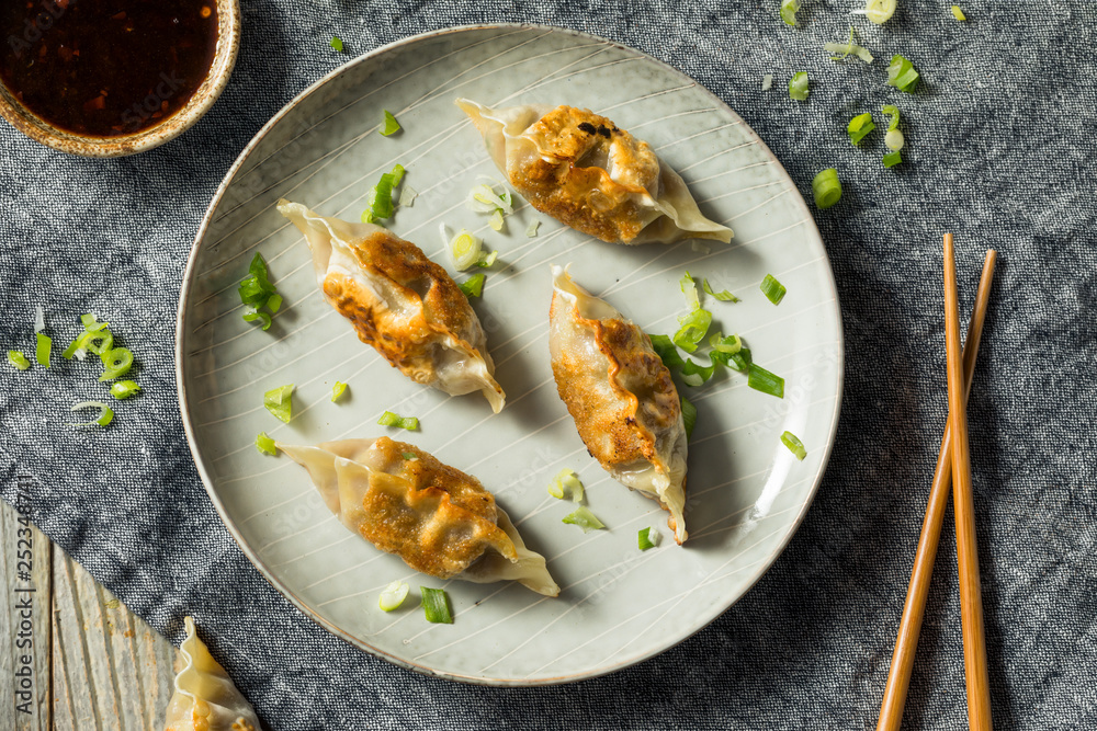 Homemade Korean Mandu Pork Dumplings