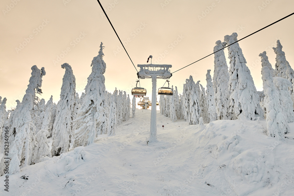 Chair lift in Poiana Brasov ski resort, Skiers and snowboarders enjoy the ski slopes in Poiana Brasov winter resort whit forest covered in snow on winter season