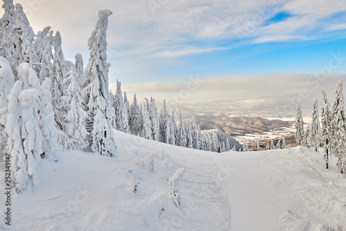 Panoramic view over the ski slope Poiana Brasov ski resort in Transylvania, Mountain landscape whith Pine forest covered in snow on winter season