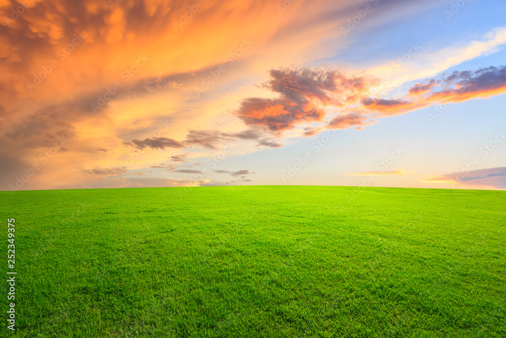 Green grass and beautiful sky at sunset Green grass and beautiful sky at sunset