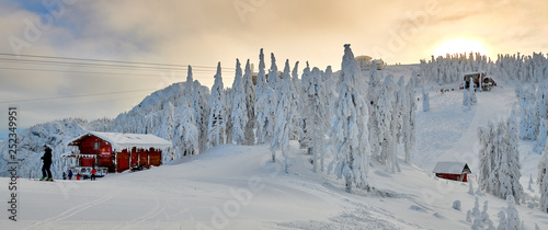 Tablou pe pânză Wooden chalets and spectacular ski slopes in the Carpathians,Panoramic view over