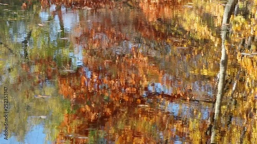 Colorful water ripple in an autumn lake in a park