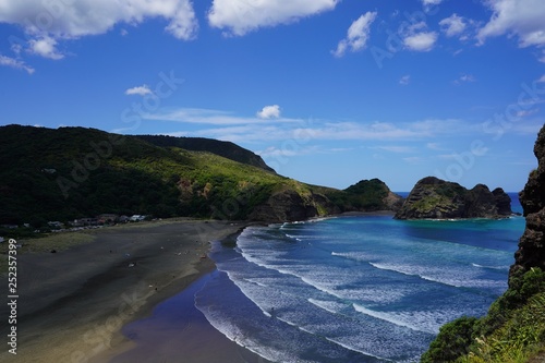 美しいニュージーランドの夏の海岸