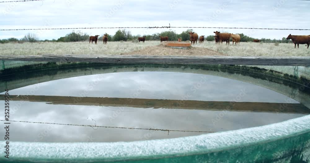 Large prairie water trough for cattle and wildlife on western ranch Large prairie water trough for cattle and wildlife on western ranch