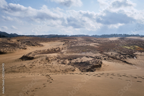 A grassland outside of sand dunes in winter at Tottori, Japan.