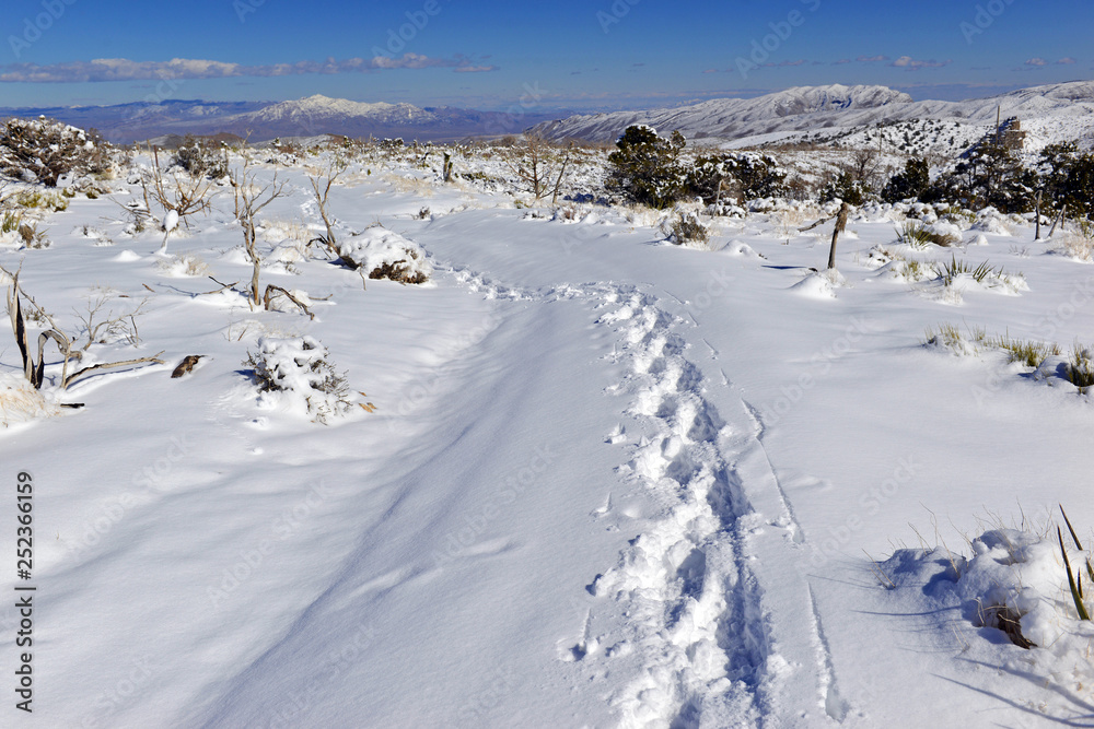 Snow covered alpine terrain in the Mount Charleston region, popular hiking and climbing spots in the Spring Mountains, near Las Vegas Nevada, USA