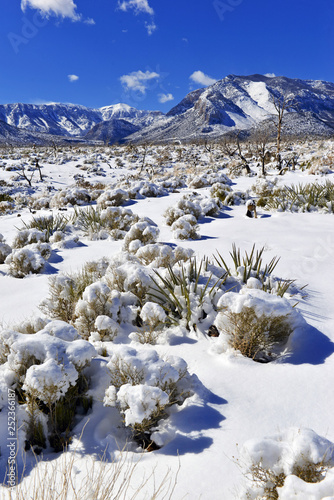 Canvas Print Snow covered alpine terrain in the Mount Charleston region, popular hiking and c