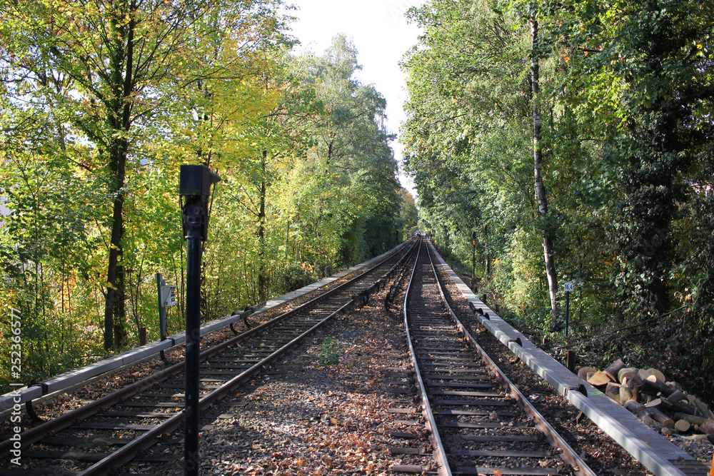 Fototapeta premium Railroad tracks surrounding by tree line during train station, empty platform wait for train cargo container, tourism journey by sky train rail
