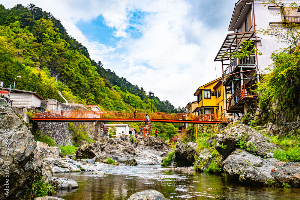 Obraz premium 夏の渓谷