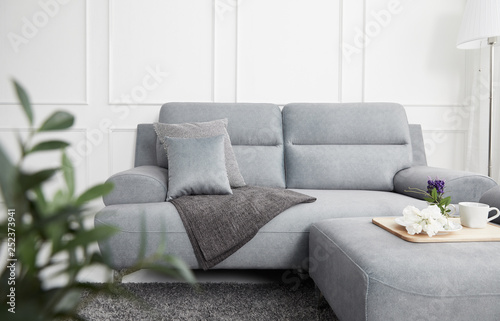 Scandinavian style livingroom with fabric sofa  sofa table. morning image with plant. sofa table on the lug.