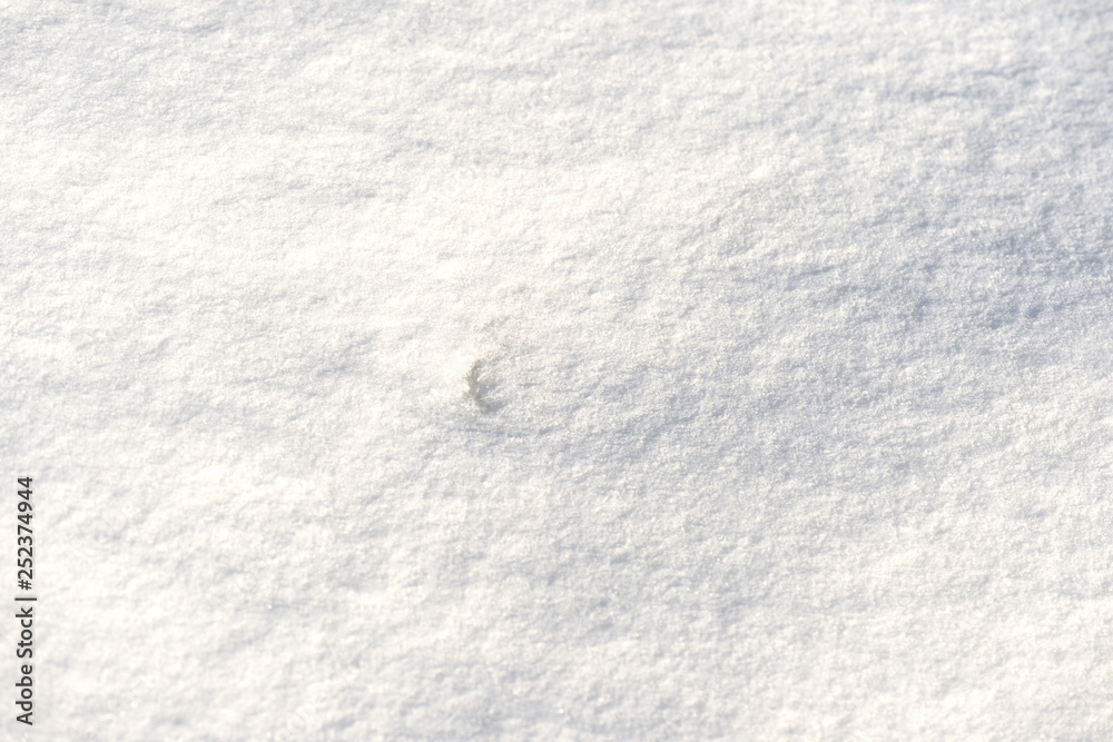 The texture of the snow close up. WInter background The texture of the snow close up. WInter background