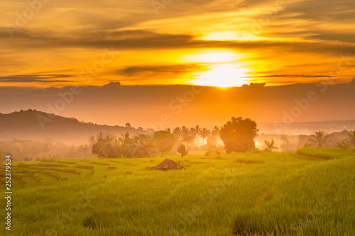 indonesia beauty landscape at paddy fields in north bengkulu natural beauty of bengkulu utara indonesia with mountain barisan and green nature
