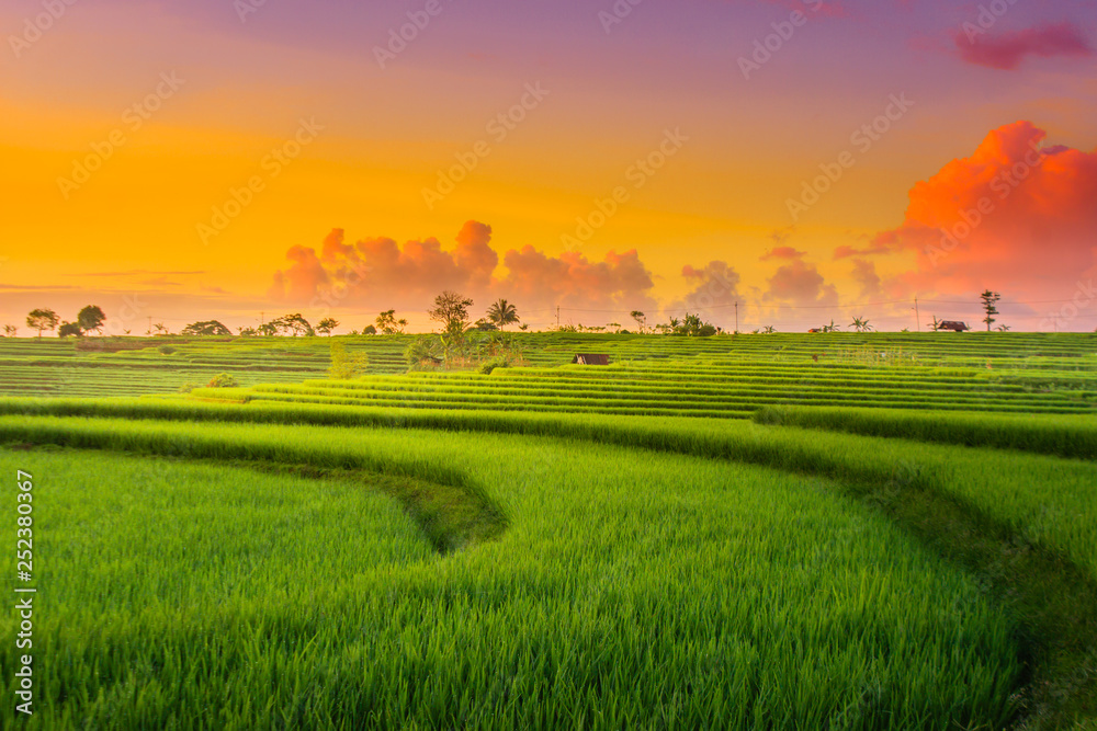 indonesia beauty landscape at paddy fields in north bengkulu natural beauty of bengkulu utara indonesia with mountain barisan and green nature