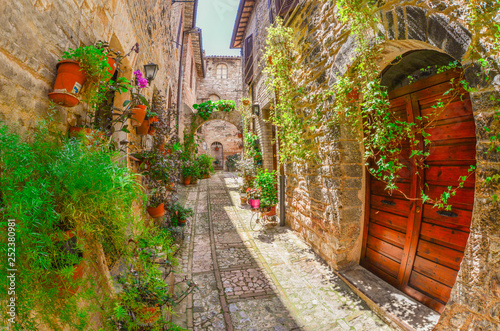 Spello  Perugia   the awesome medieval town in Umbria region  central Italy  during the floral competition after the famous Spello s intfiorate.