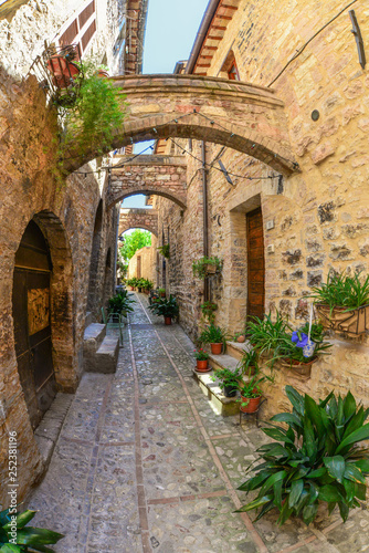 Spello  Perugia   the awesome medieval town in Umbria region  central Italy  during the floral competition after the famous Spello s intfiorate.