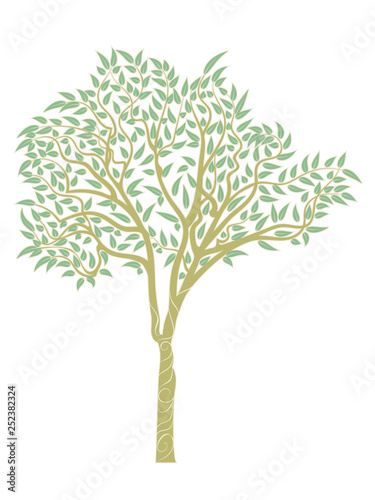 Eucalyptus tree design
