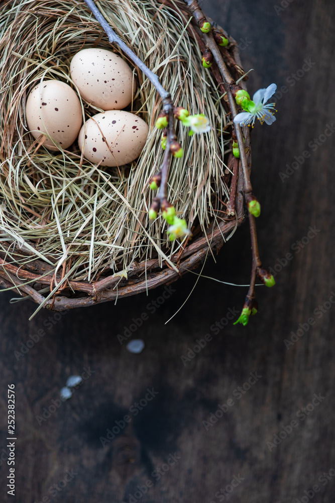 Obraz premium Easter holiday card concept