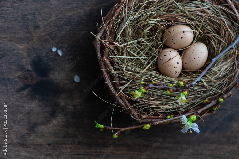 Obraz premium Easter holiday card concept