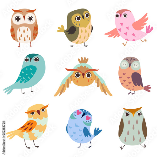 Collection of Cute Owlets, Colorful Adorable Owl Birds Vector Illustration on White Background photo