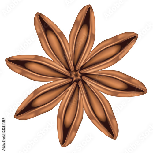 Star of anise