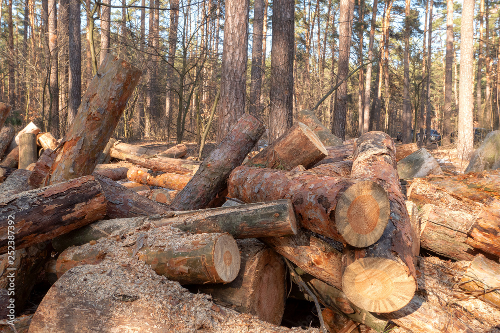 Stacked firewood in a pile outdoors close-up. A pile of chopped firewood ready for stacking. Preparation heating house in winter. Stacked firewood in a pile outdoors close-up. A pile of chopped firewood ready for stacking. Preparation heating house in winter.