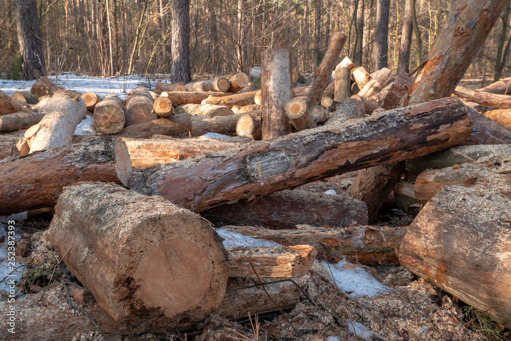 Stacked firewood in a pile outdoors close-up. A pile of chopped firewood ready for stacking. Preparation heating house in winter. Stacked firewood in a pile outdoors close-up. A pile of chopped firewood ready for stacking. Preparation heating house in winter.