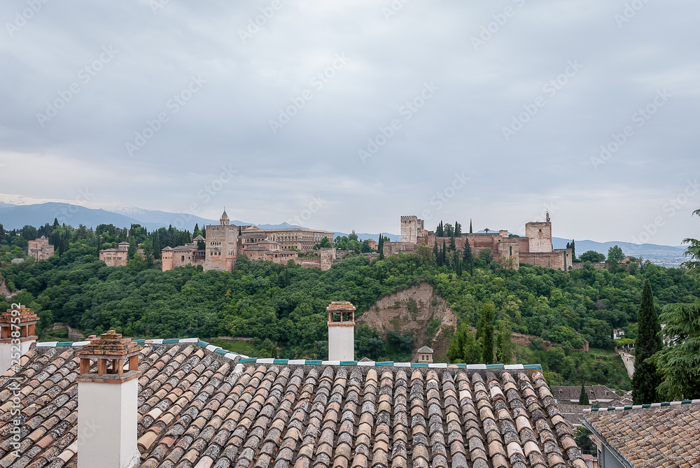 Views of the Alhambra of Granada