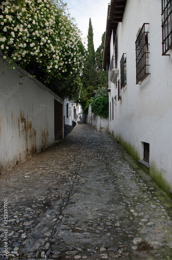 Street of the Albaicin neighborhood in Granada. Spain