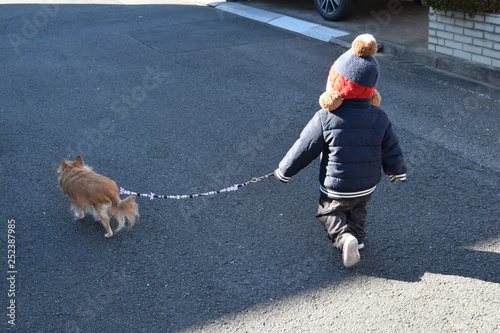 Infant to take a walk with Long Coat Chihuahua 1 year 7 months