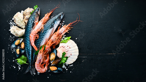 Konstfotografi Seafood