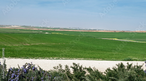 lush agricultral fields in the western negev in israel with gaza city and a partly cloudy sky in the background