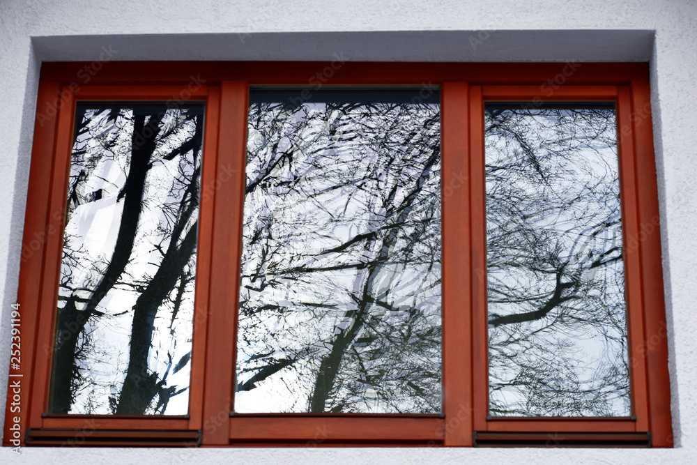 Fototapeta premium Reflections of tree branches silhouettes and sky on brown wooden window glass pane on white building plaster facade in winter day.