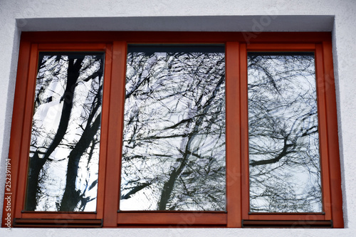 Reflections of tree branches silhouettes and sky on brown wooden window glass pane on white building plaster facade in winter day.