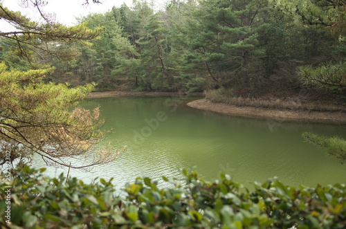 Fototapeta Naklejka Na Ścianę i Meble -  日本の美しい池