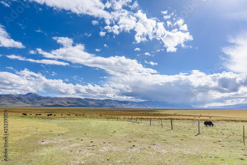 View of grass filed on the east side of the Nyenchen Tanglha Mountains range in Damxung(Dangxiaong) County, Lhasa, Tibet, China. photo