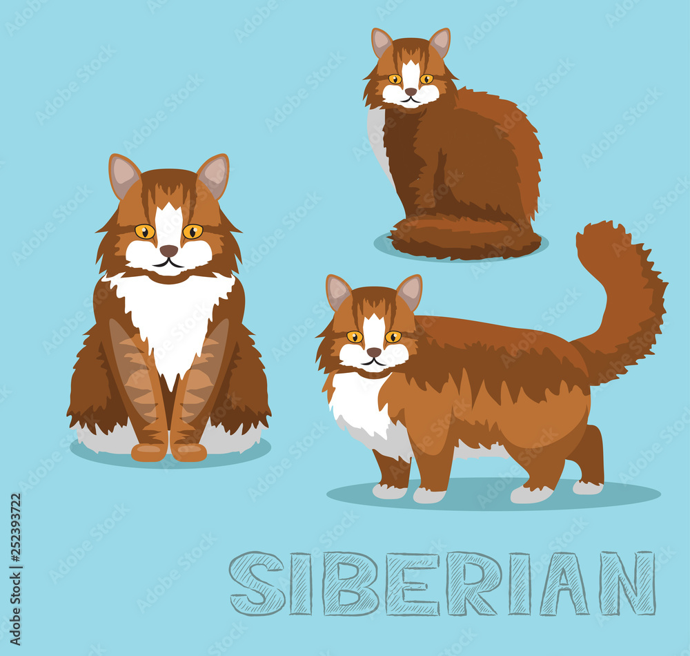 Cat Siberian Cartoon Vector Illustration