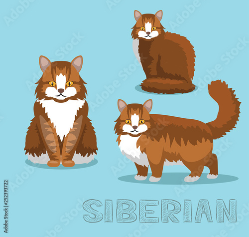 Cat Siberian Cartoon Vector Illustration