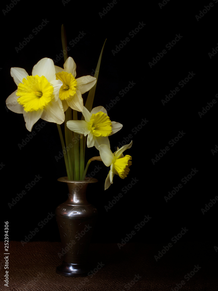 Spring daffodils still life, light painting chiaroscuro style, in vase, with copyspace. Spring daffodils still life, light painting chiaroscuro style, in vase, with copyspace.