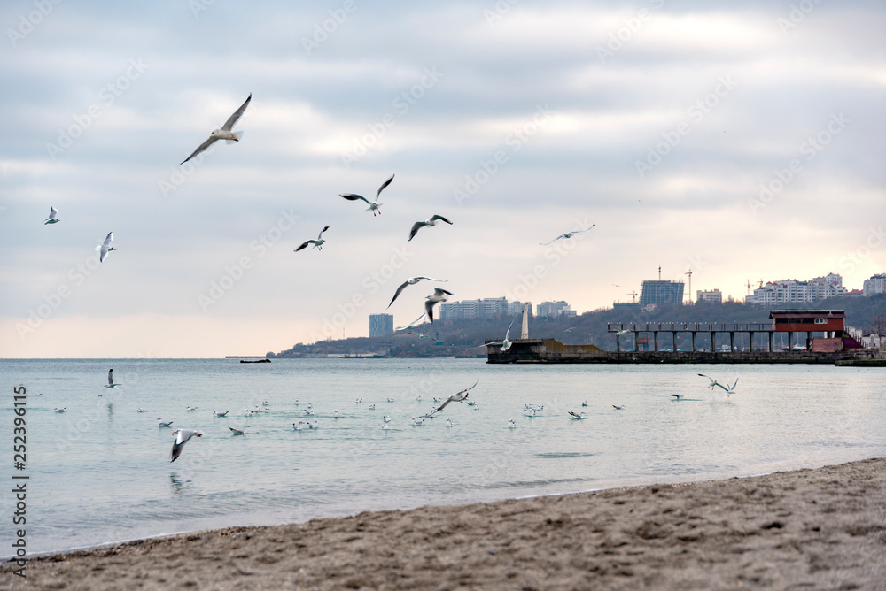 Odessa beach in winter