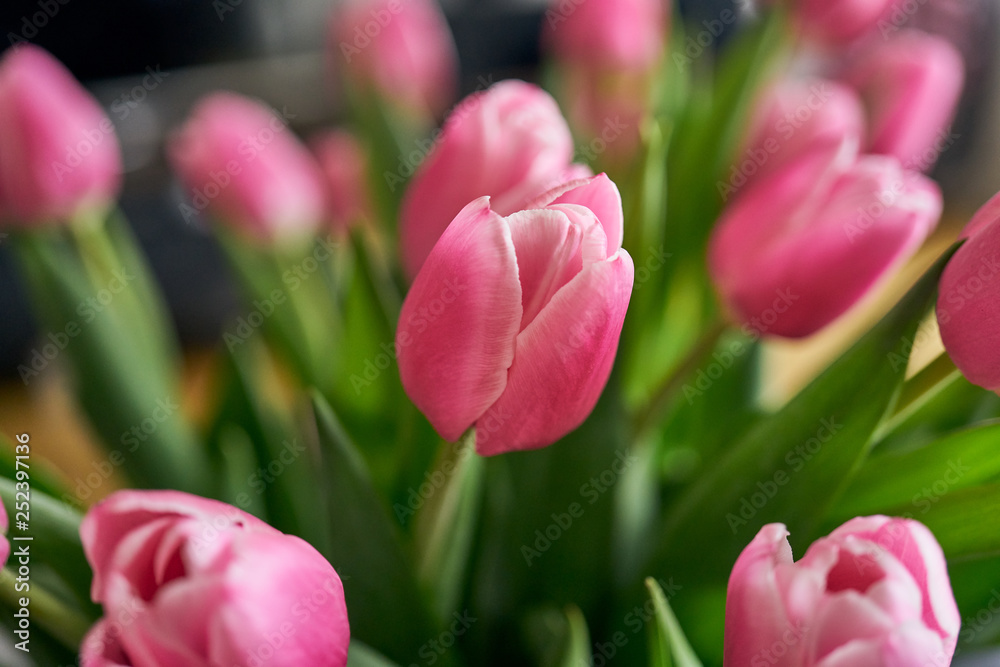 Fototapeta premium Bukiet różowych tulipanów