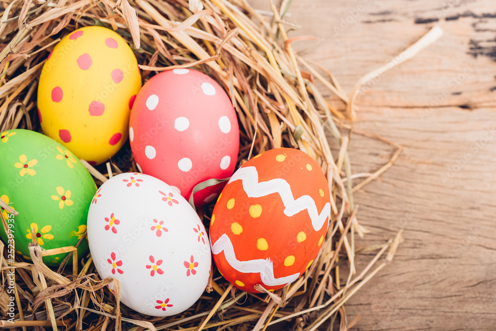 Obraz premium Beautiful Easter multi color egg in straw