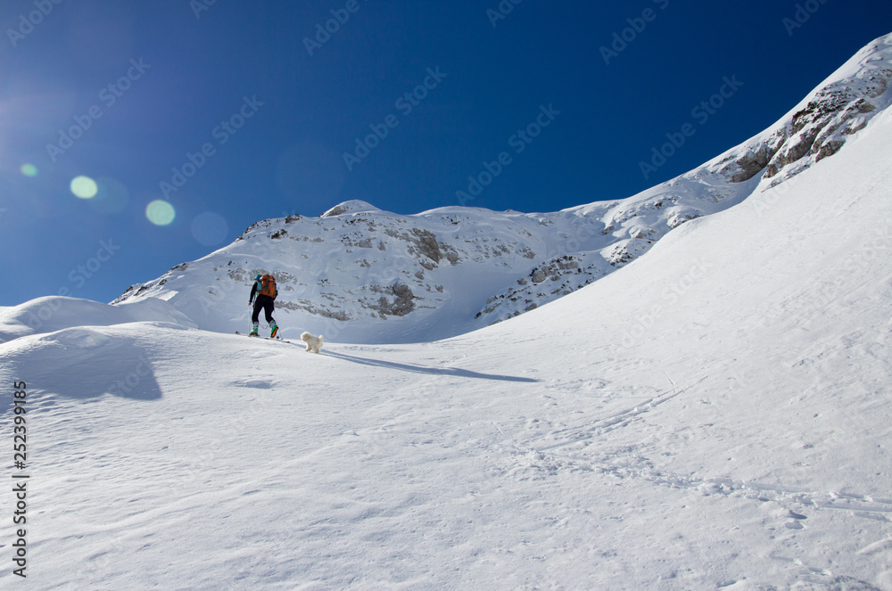 Snow covered mountains and ski mountaineers along sunny trail. Slovenia, Julian Alps, Komna. There are is snowshoeing and ski touring paradise.