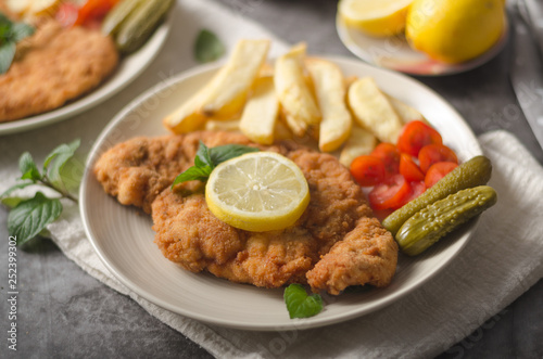 Homemade german schnitzel with pickles