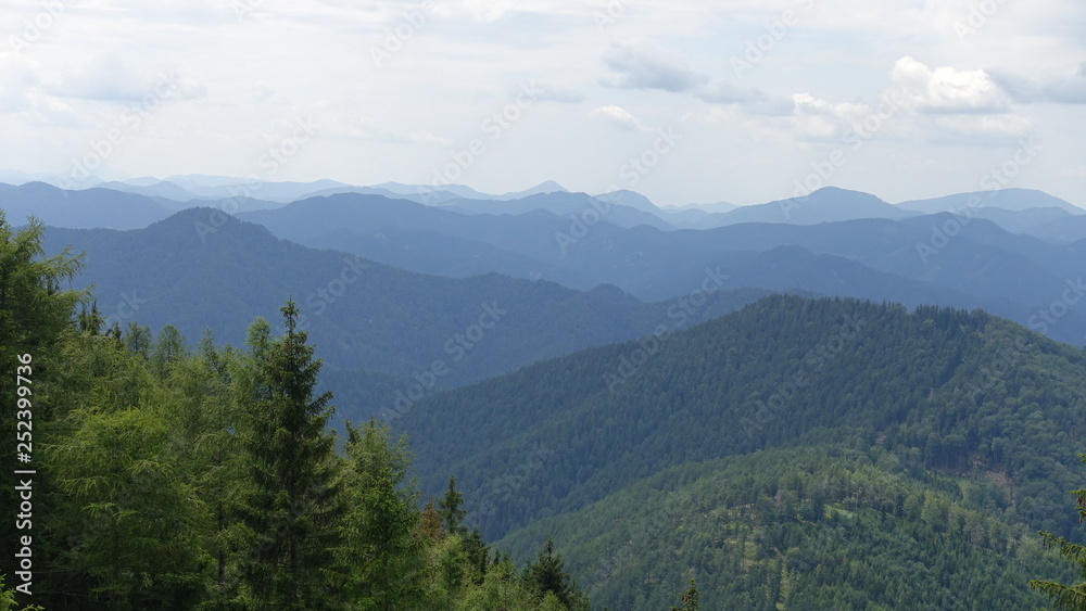 Fototapeta premium Dürre Wand