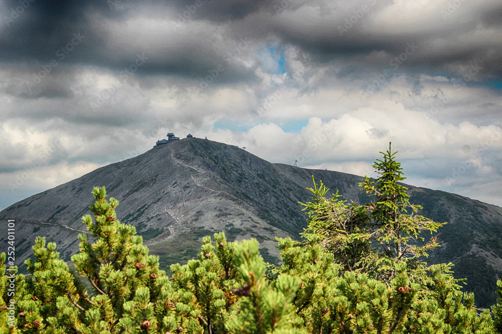 Fototapeta premium The highest mountain Snezka in national park Krkonose in Czech republic.