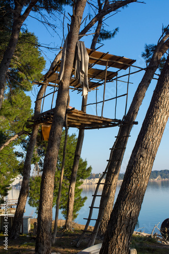 House Built on a Tree and Wooden Ladder