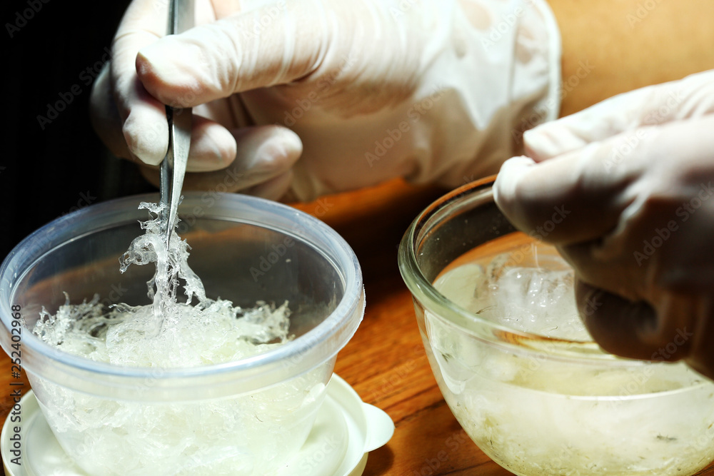 The nest of Edible-Nest Swiftlet, raw edible bird's nest materials for tradition chinese medicine. The nest of Edible-Nest Swiftlet, raw edible bird's nest materials for tradition chinese medicine.