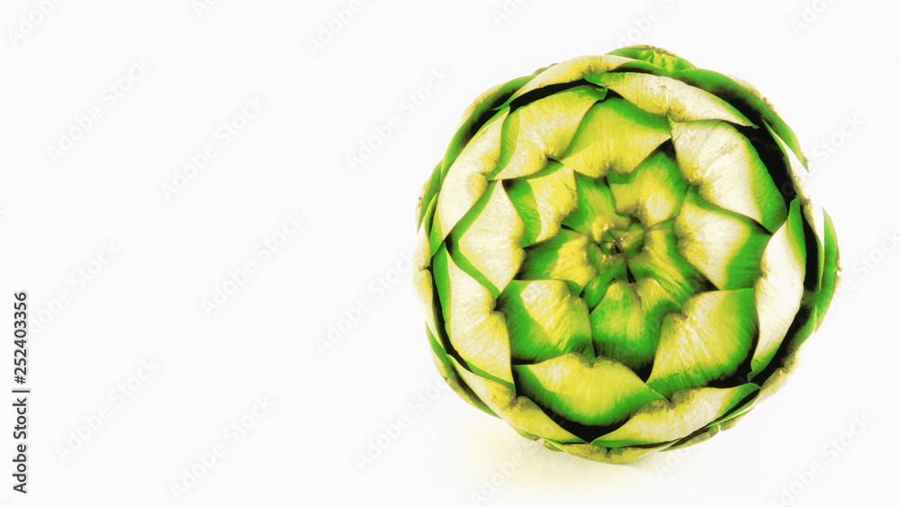 Fototapeta premium Artichoke