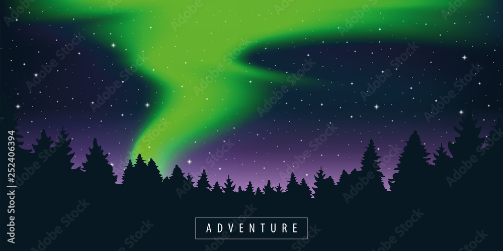 green polar lights in starry sky in the forest vector illustration EPS10