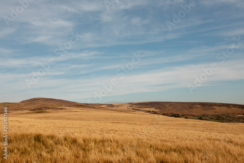 Tranquil rural wilderness landscape image with copy space  © stephm2506